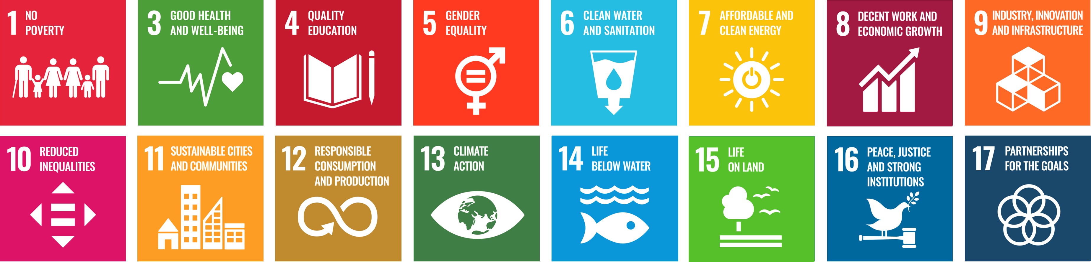 UN sustainable development goals