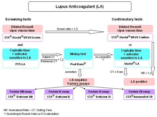 Haemophilia B Lupus Anticoagulant